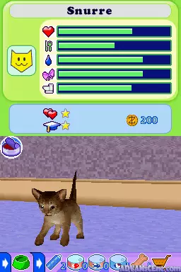 Image n° 3 - screenshots : Petz Fashion - Dogz & Catz